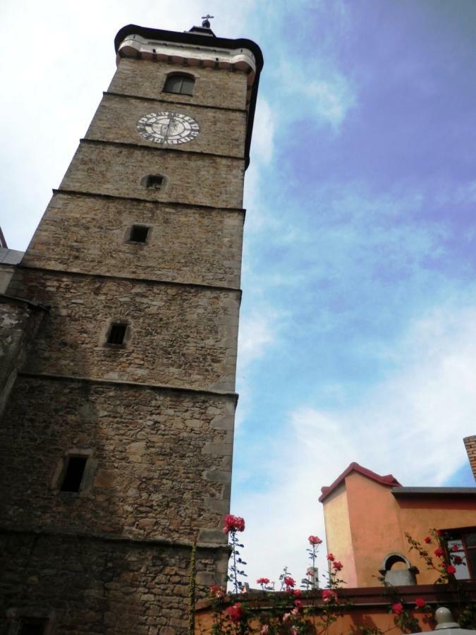 Apartmany U Sv. Floriana Slavonice Dış mekan fotoğraf